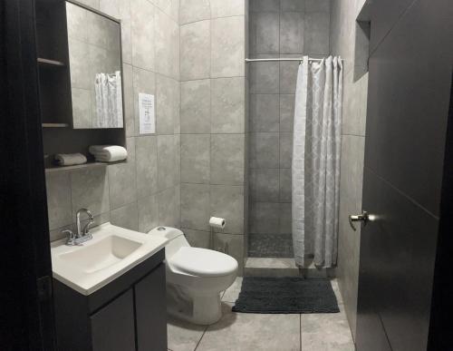 彼德拉斯内格拉斯Departamento moderno cómodo y céntrico的浴室配有卫生间、盥洗盆和淋浴。