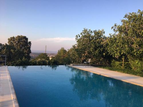 马尔旺金塔达贝吉奥别墅的一个种有树木的大型蓝色游泳池