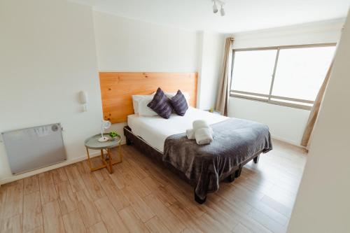 拉塞雷纳Agua Marina - La Serena的一间卧室设有一张大床和一个窗户。