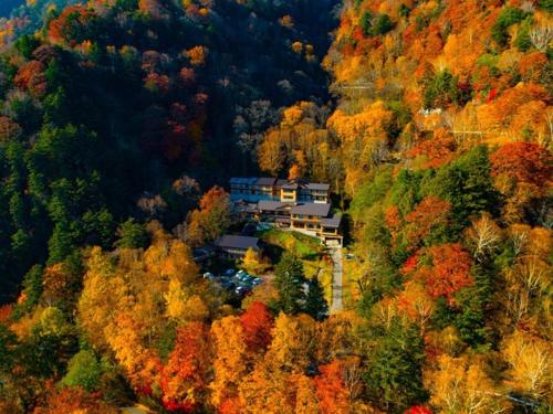 松本Nakanoyu Onsen Ryokan - Vacation STAY 18829v的森林中间房屋的空中景观