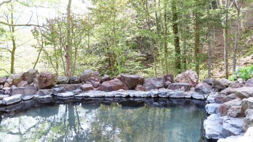 松本Nakanoyu Onsen Ryokan - Vacation STAY 18824v的一大片水池,有岩石和树木