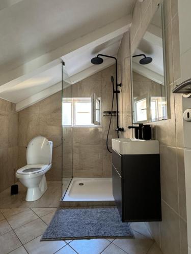 维尔Apartmani Ivano的带淋浴、卫生间和盥洗盆的浴室