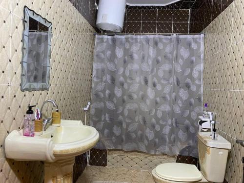乌姆盖斯Seleucia DaR Umm Qais的一间带水槽和淋浴帘的浴室