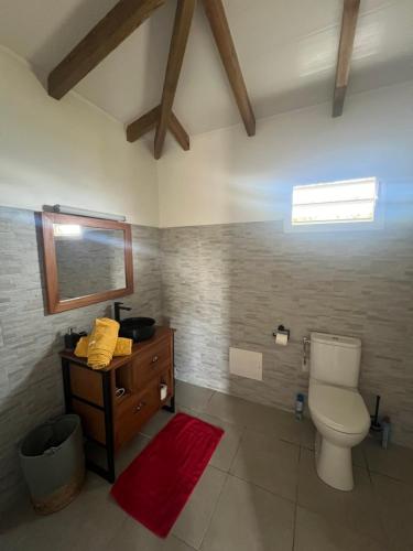 Fond Belle FontaineKaz Karaîb'的一间带卫生间、水槽和镜子的浴室