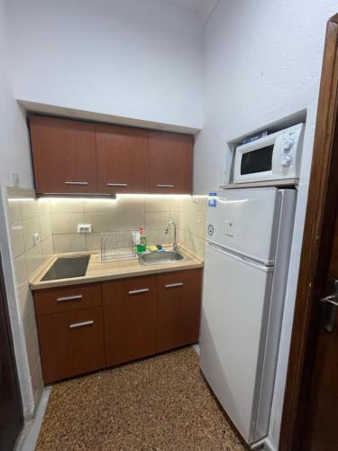 艾斯普罗瓦塔KLetnikovi的厨房配有白色冰箱和水槽