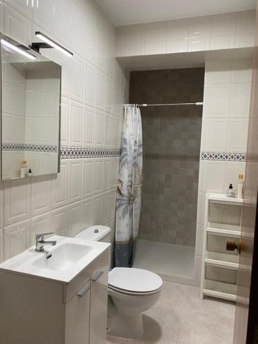 阿尔奇多纳Casa Virgen de Gracia的浴室配有卫生间、盥洗盆和淋浴。