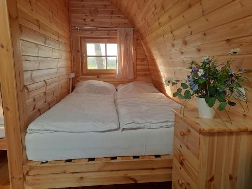 Silberstedt43 Camping Pod的配有窗户的小木屋内的一张床位