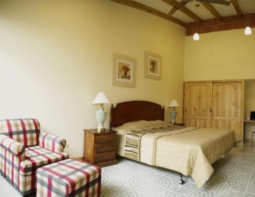 圣何塞弗朗西斯科公寓酒店的一间卧室配有一张床和一把椅子