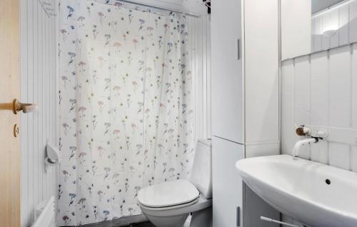欧德尔3 Bedroom Gorgeous Home In Odder的一间带卫生间和淋浴帘的浴室