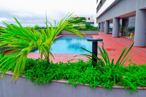 达累斯萨拉姆KingJada Hotels And Apartments Ltd的绿色植物建筑中的游泳池