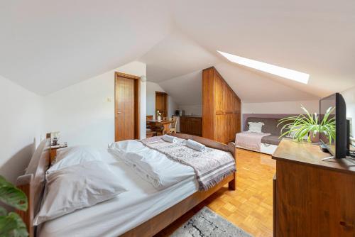 卡姆尼克米利威赫住宿加早餐旅馆的一间卧室配有一张床和一台电视
