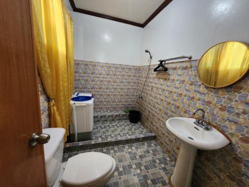HinunanganTwin Island Beach House的一间带卫生间、水槽和镜子的浴室
