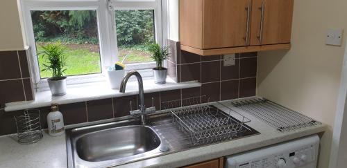 沃特福德SAV 1 Bed Apartment Argyle Watford的带水槽的厨房台面和窗户