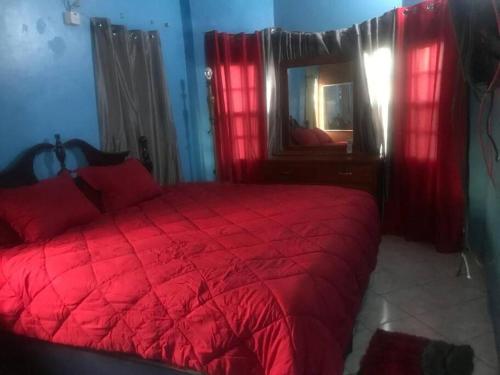 RomneysCozy 2BR/1BA retreat in St.Kitts close to airport的一间卧室配有红色的床和镜子