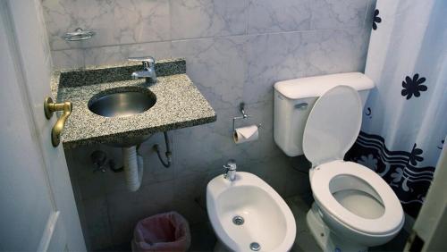 布宜诺斯艾利斯艾利斯快捷酒店的一间带卫生间和水槽的小浴室