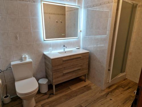 圣伊波利特Chambres Thirion的一间带卫生间、水槽和镜子的浴室
