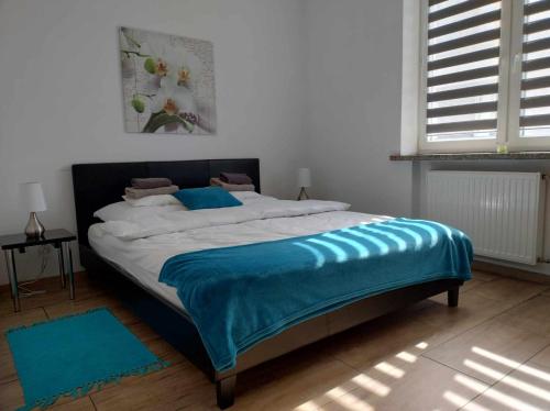 比亚韦斯托克Apartament Gospodarska的一间卧室配有一张带蓝色毯子的床
