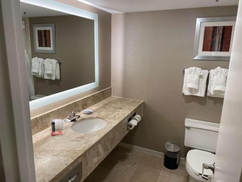 皇后区拉瓜迪亚广场酒店的一间带水槽、镜子和卫生间的浴室