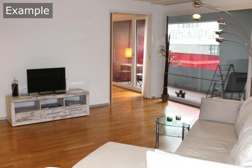 伯尔尼塞恩尼韦塔西城公寓的带沙发和电视的客厅