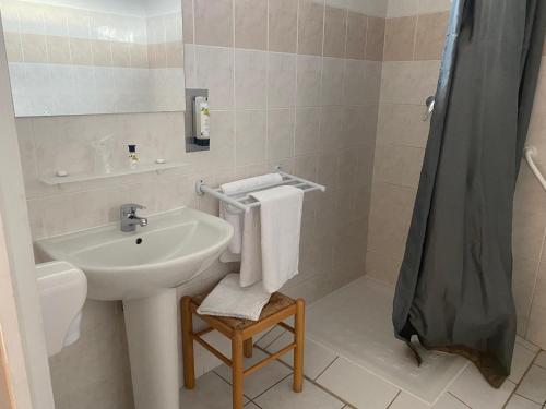 贝莱姆Logis Hôtel Restaurant L'Escale的浴室配有盥洗盆、淋浴和毛巾