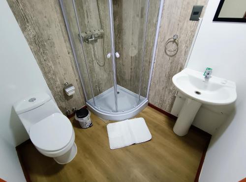 奥索尔诺Sky Osorno的浴室配有卫生间、淋浴和盥洗盆。