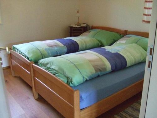 GaisBallmoos Ferienwohnung的卧室内的两张床,配有绿色和蓝色枕头