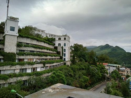 萨帕Sunshineview Sapa Hotel的一座植物在建筑的一侧