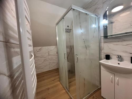 克鲁斯兹考采Apartamenty Na Rozstaju的带淋浴和盥洗盆的浴室