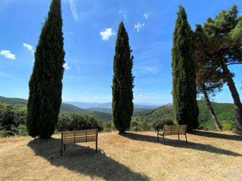 里帕尔贝拉Il Doccino的两长椅,在林地和山地