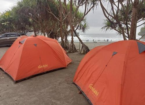 BulakbendaMadasari Outdoor Camping Tenda Paket Hemat的两顶橙色帐篷坐落在海边