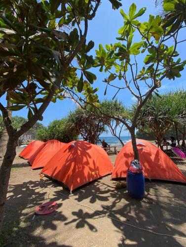 BulakbendaMadasari Outdoor Camping Tenda Paket Hemat的海滩上一排橙色的遮阳伞