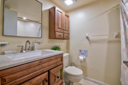奥兰多3608 Orlando Vacational 1st floor的一间带水槽、卫生间和镜子的浴室