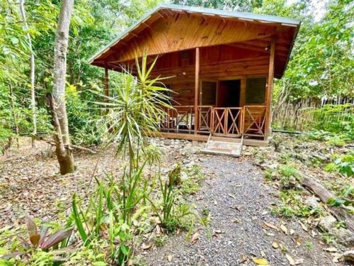 OracabessaReal Jamaica - Cabin right beside the sea-Papa Curvins Yard的森林中间的小木屋