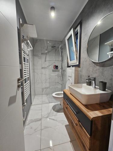 韦莱涅Mobilna hiška pod Lipo的一间带水槽和卫生间的浴室