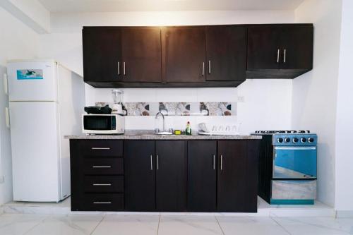Las FloresTranquil 1 & 1 Haven的厨房配有黑色橱柜和白色冰箱。