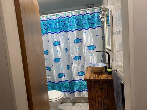 莫雷诺Hostel joel 2的浴室配有带卫生间的淋浴帘