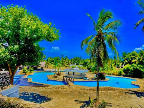乌昆达Cozy Holiday Homes.的阳光明媚的日子里,拥有两个游泳池和棕榈树的度假胜地