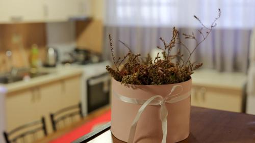 斯库台Shkodra Guest House的坐在厨房桌子上的盆栽植物