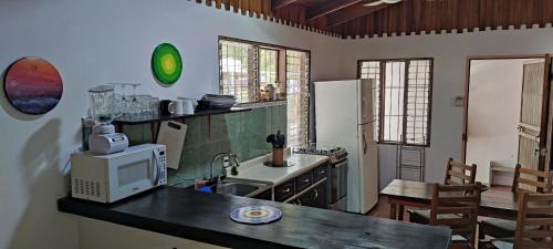 萨玛拉Alta Vibra Appartement的厨房配有水槽和带微波炉的台面。
