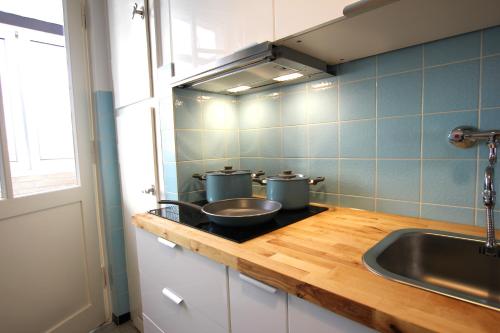 汉诺威Centrally located 2-room apartment的厨房柜台配有2个锅和水槽