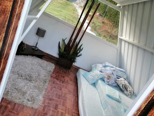 卡利Glamping Bambulina的客房设有床和窗户。