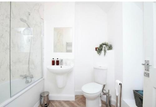 斯旺西Heyboys的白色的浴室设有卫生间和水槽。