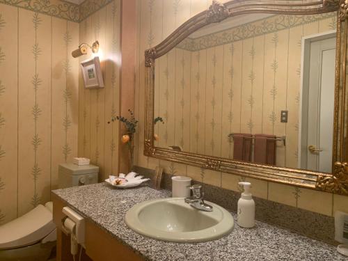 Shōmachiホテル　サンタモニカ(大人専用)的一间带水槽和镜子的浴室