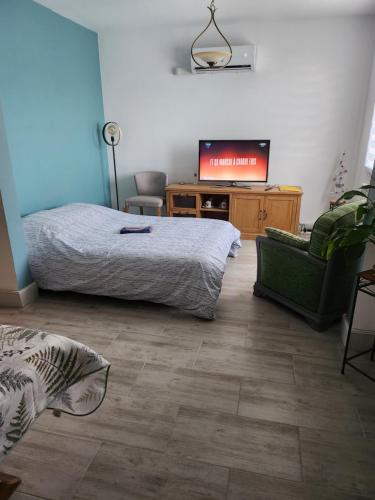 勒维尔德Gite Maison d'Allier的一间卧室配有一张床和一台平面电视