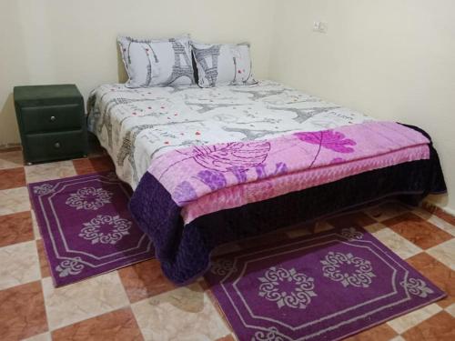 马拉喀什Appartement à côté de l'aéroport的一张床上,有两张紫色地毯