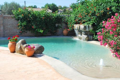 托莱多Casa Rural Dani Escalona的庭院里种满鲜花和植物的游泳池