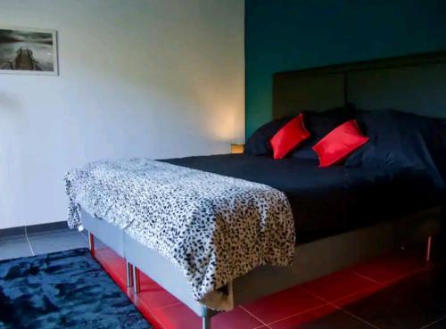 GenilacStudio Cosy, jardin privatif的一间卧室配有一张带红色枕头的床和一张猎豹毛毯