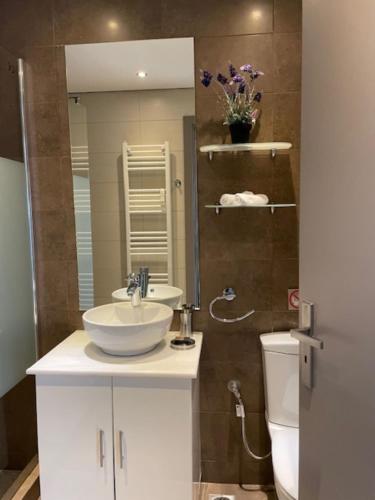 雅典厄本住宅公寓式酒店的一间带水槽、卫生间和镜子的浴室