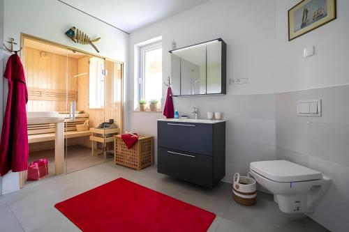 佩佩洛De Henkieker - Ferienhaus mit Sauna und Kamin für 6 Personen的浴室设有卫生间和红色地毯的盥洗盆。