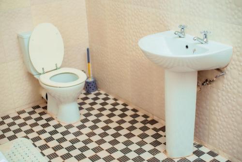 布兰太尔Hillside Luxury Lodge的一间带卫生间和水槽的浴室